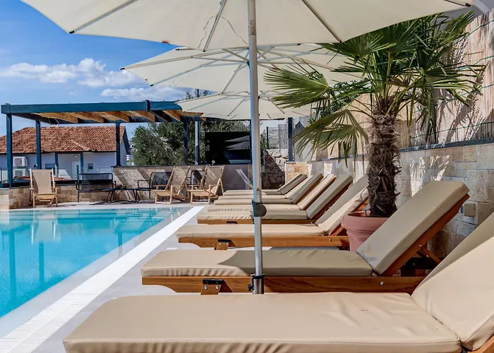 Eden Adults Only تروغير