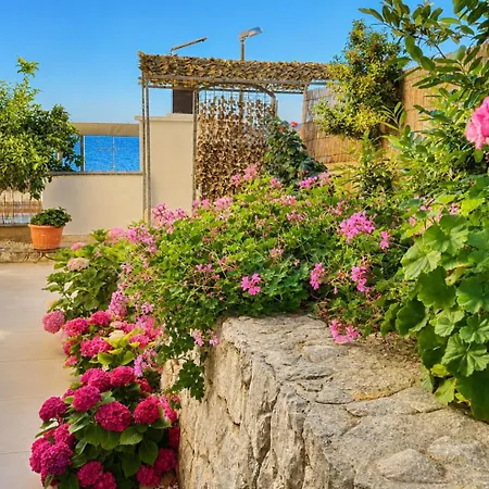 Eden Adults Only 3* تروغير