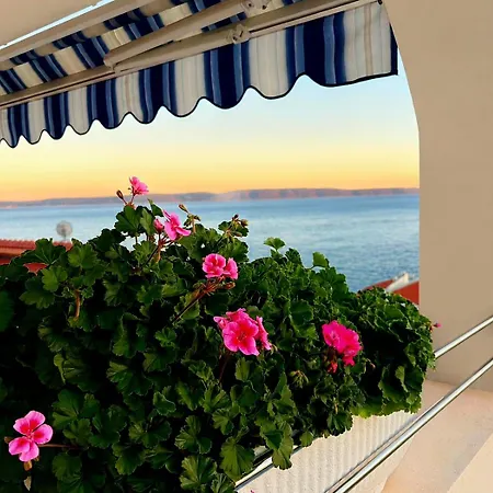 Eden Adults Only 3* تروغير