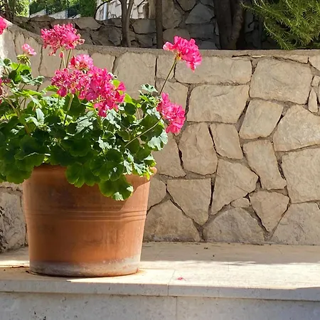 Eden Adults Only Πανσιόν 3*